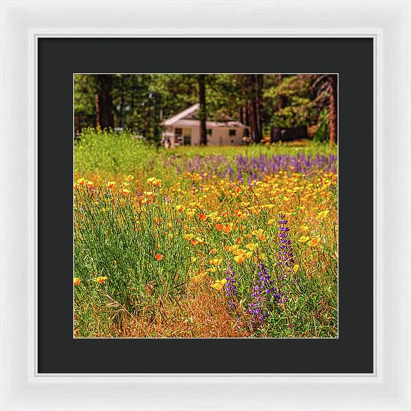 Colorful and Vibrant Meadows With Wild Flowers - Framed Print