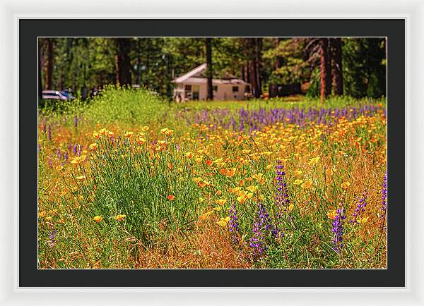 Colorful and Vibrant Meadows With Wild Flowers - Framed Print