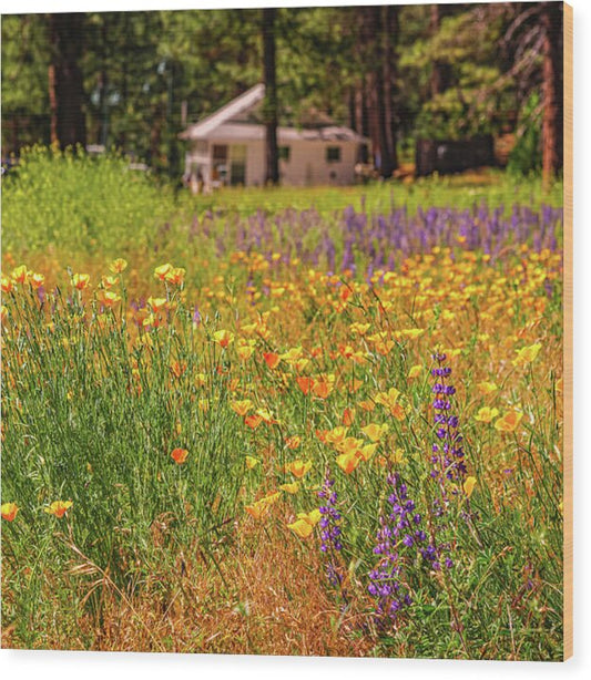 Colorful and Vibrant Meadows With Wild Flowers - Wood Print