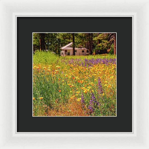 Colorful and Vibrant Meadows With Wild Flowers - Framed Print