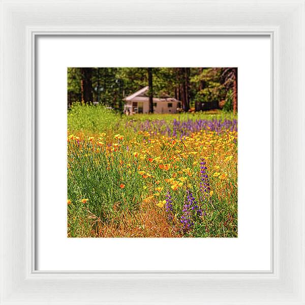 Colorful and Vibrant Meadows With Wild Flowers - Framed Print