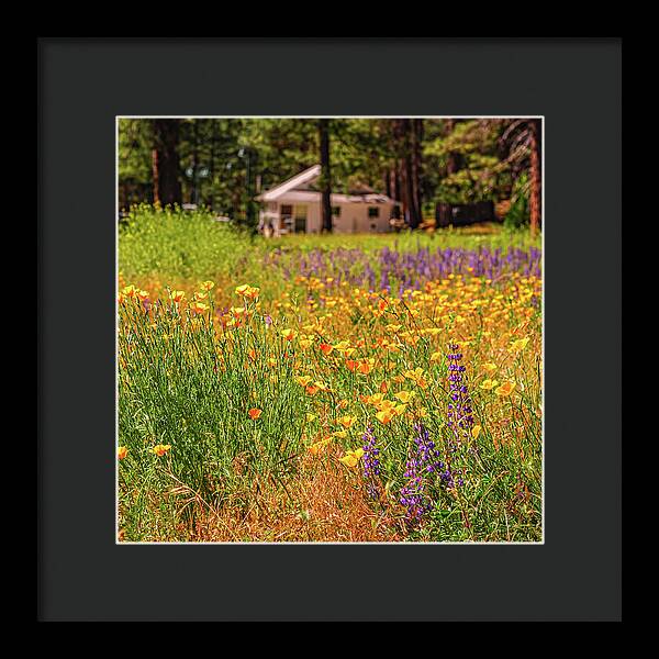 Colorful and Vibrant Meadows With Wild Flowers - Framed Print