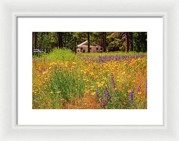 Colorful and Vibrant Meadows With Wild Flowers - Framed Print