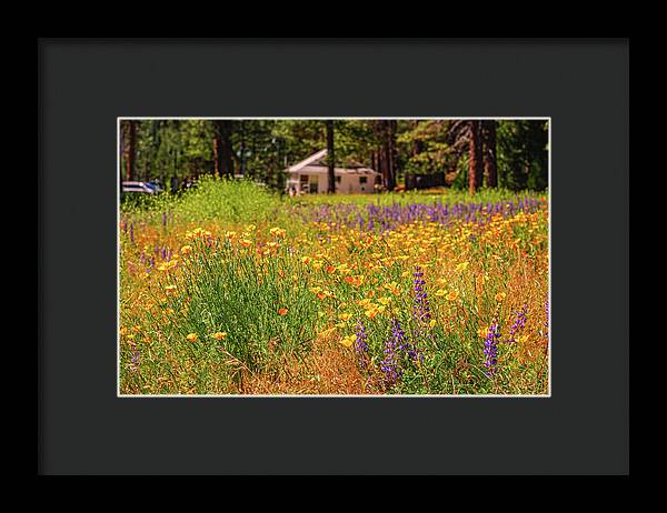 Colorful and Vibrant Meadows With Wild Flowers - Framed Print