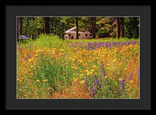 Colorful and Vibrant Meadows With Wild Flowers - Framed Print