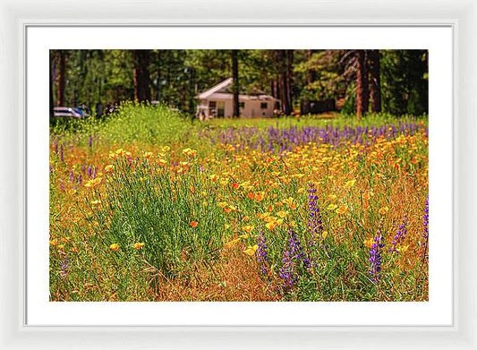 Colorful and Vibrant Meadows With Wild Flowers - Framed Print