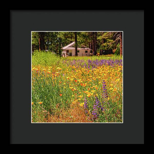 Colorful and Vibrant Meadows With Wild Flowers - Framed Print