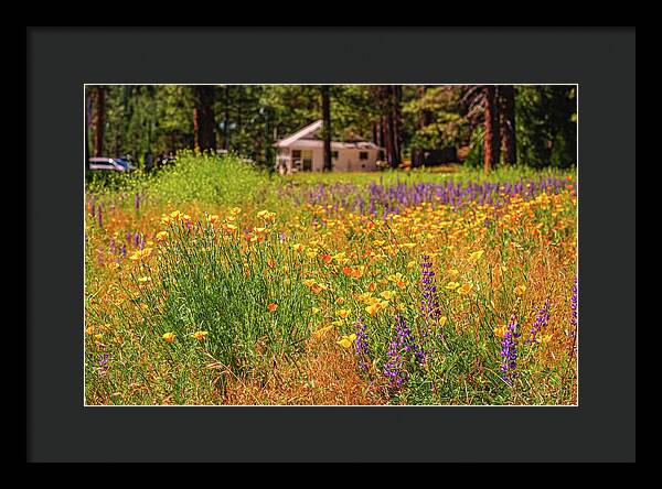 Colorful and Vibrant Meadows With Wild Flowers - Framed Print