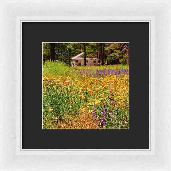 Colorful and Vibrant Meadows With Wild Flowers - Framed Print