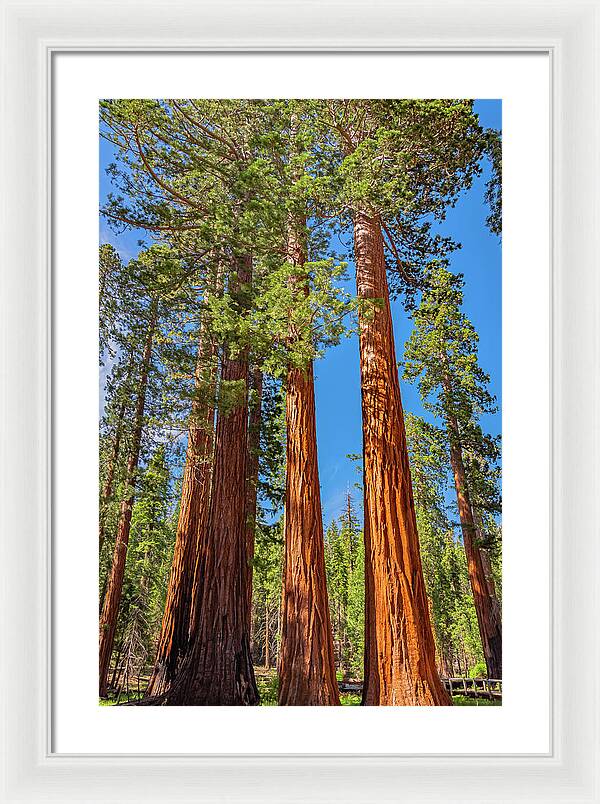 Colorful Landscape Scenery of Nature - Framed Print