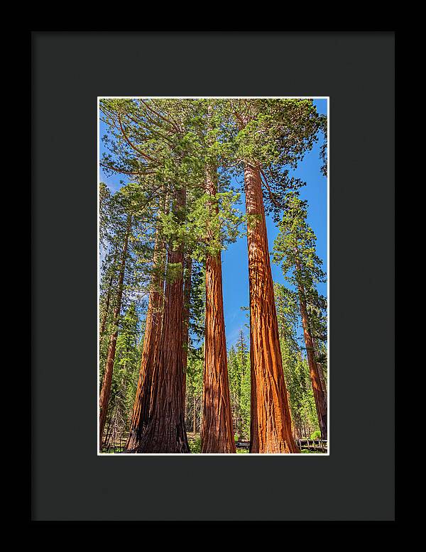 Colorful Landscape Scenery of Nature - Framed Print