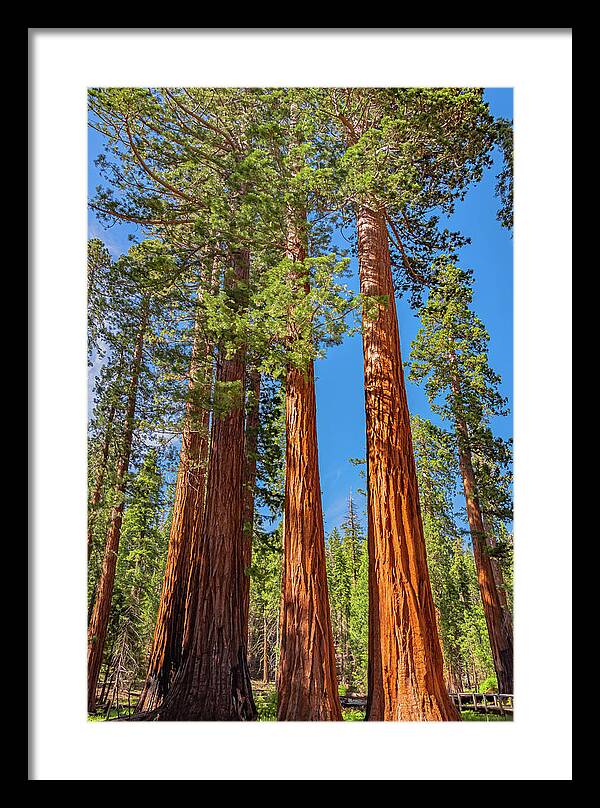 Colorful Landscape Scenery of Nature - Framed Print