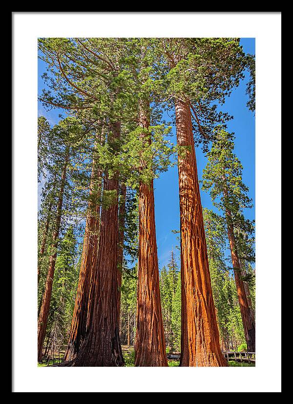 Colorful Landscape Scenery of Nature - Framed Print