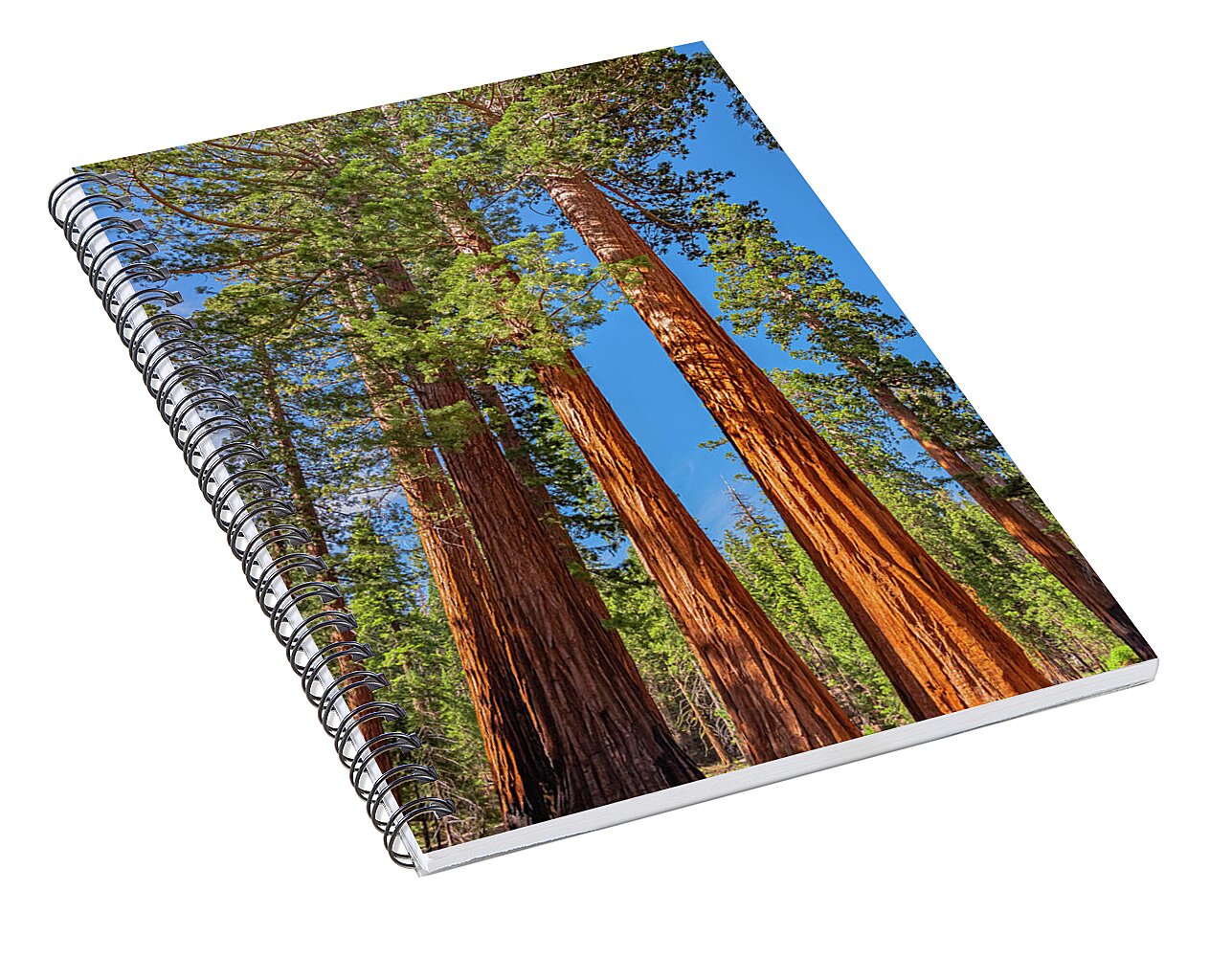 Colorful Landscape Scenery of Nature - Spiral Notebook