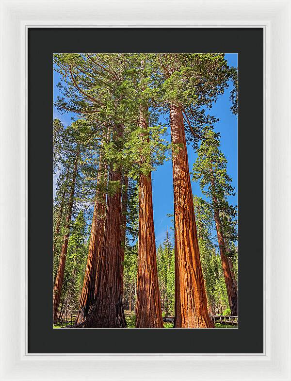 Colorful Landscape Scenery of Nature - Framed Print