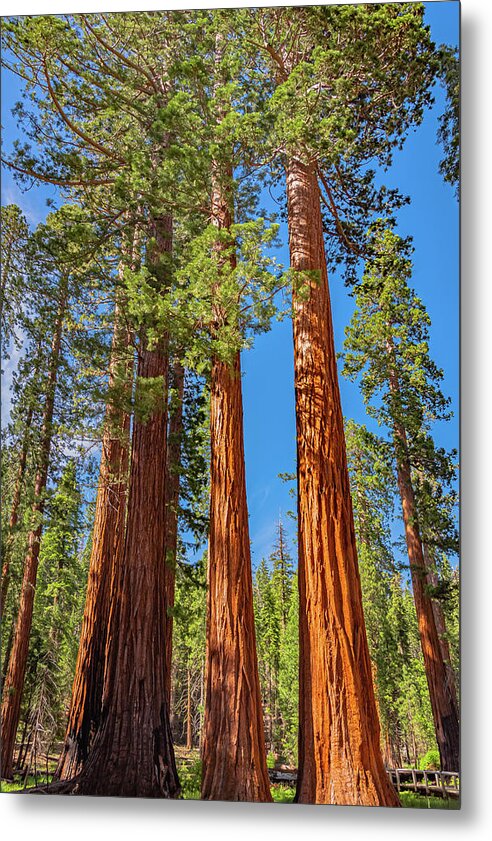 Colorful Landscape Scenery of Nature - Metal Print