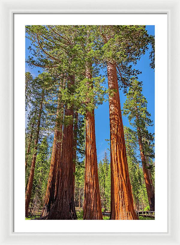 Colorful Landscape Scenery of Nature - Framed Print