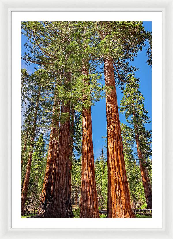 Colorful Landscape Scenery of Nature - Framed Print