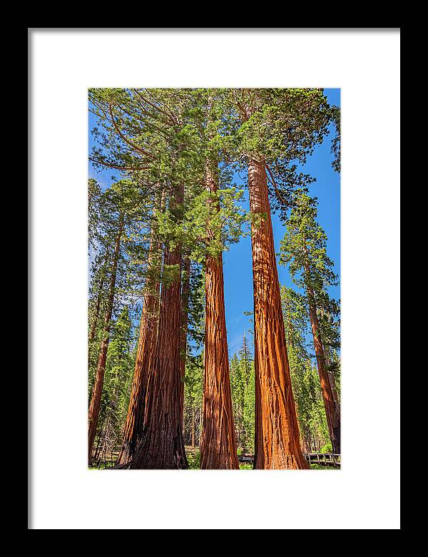 Colorful Landscape Scenery of Nature - Framed Print