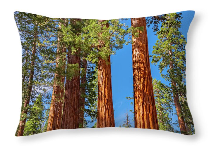 Colorful Landscape Scenery of Nature - Throw Pillow