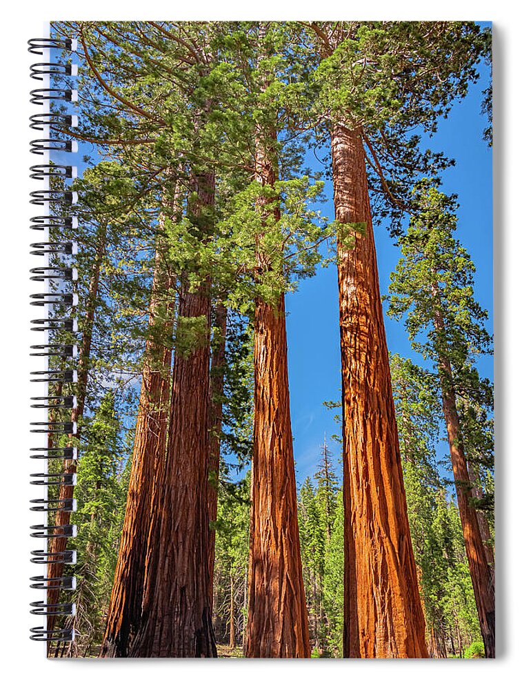 Colorful Landscape Scenery of Nature - Spiral Notebook
