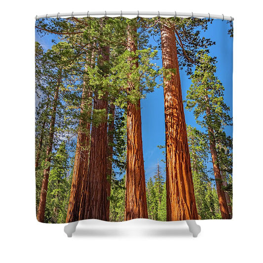 Colorful Landscape Scenery of Nature - Shower Curtain