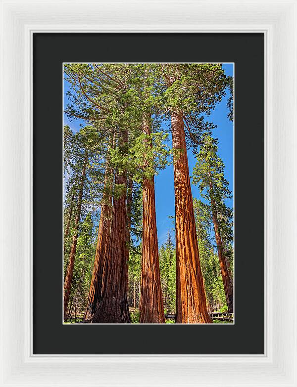Colorful Landscape Scenery of Nature - Framed Print
