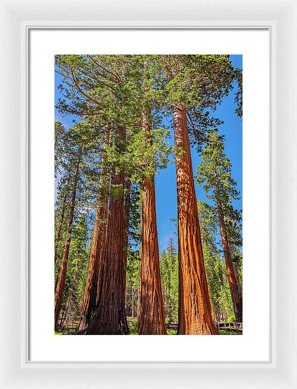 Colorful Landscape Scenery of Nature - Framed Print