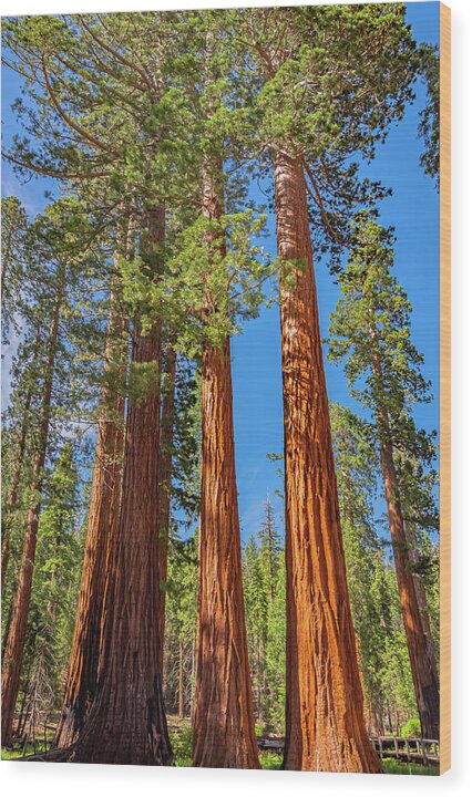 Colorful Landscape Scenery of Nature - Wood Print