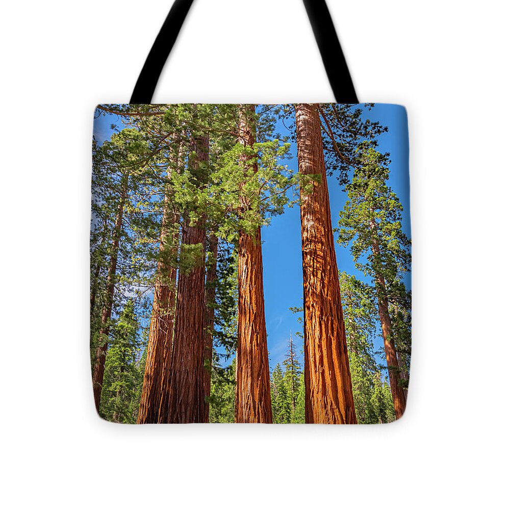 Colorful Landscape Scenery of Nature - Tote Bag