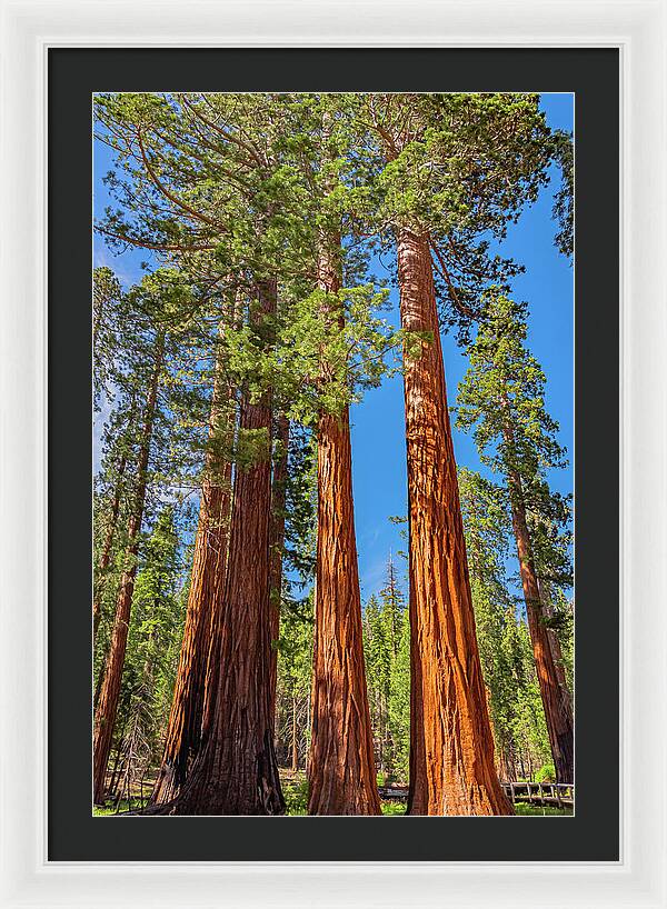 Colorful Landscape Scenery of Nature - Framed Print