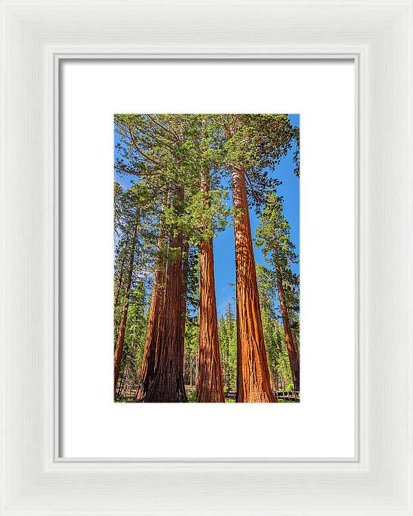 Colorful Landscape Scenery of Nature - Framed Print