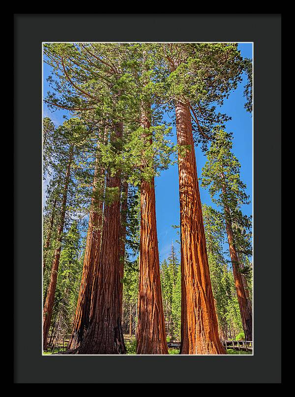 Colorful Landscape Scenery of Nature - Framed Print