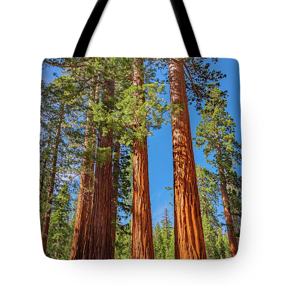 Colorful Landscape Scenery of Nature - Tote Bag