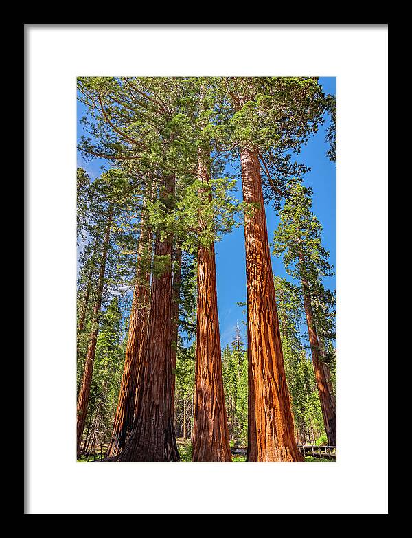 Colorful Landscape Scenery of Nature - Framed Print