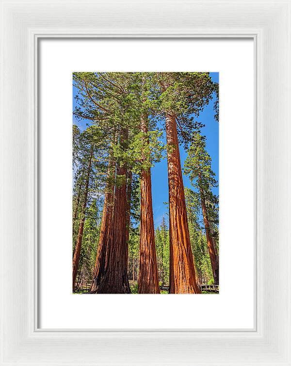 Colorful Landscape Scenery of Nature - Framed Print