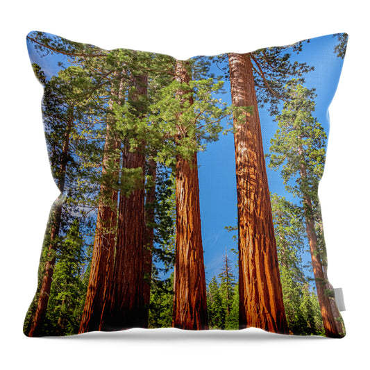 Colorful Landscape Scenery of Nature - Throw Pillow