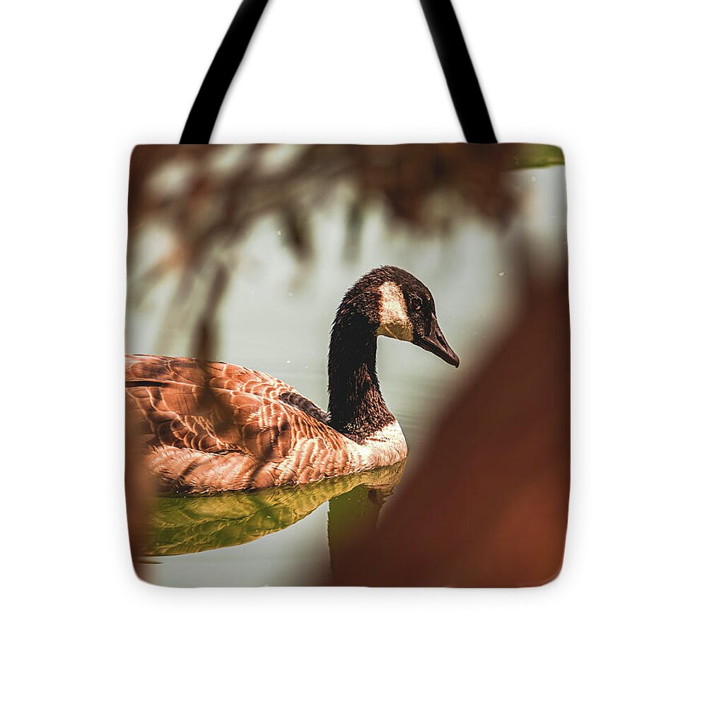 Contemplative Goose on Water - Tote Bag