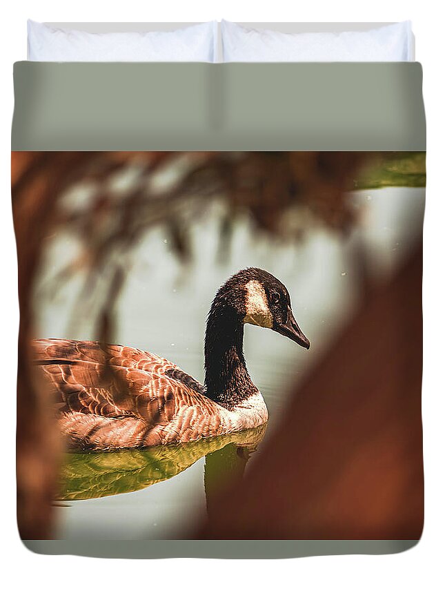 Contemplative Goose on Water - Duvet Cover