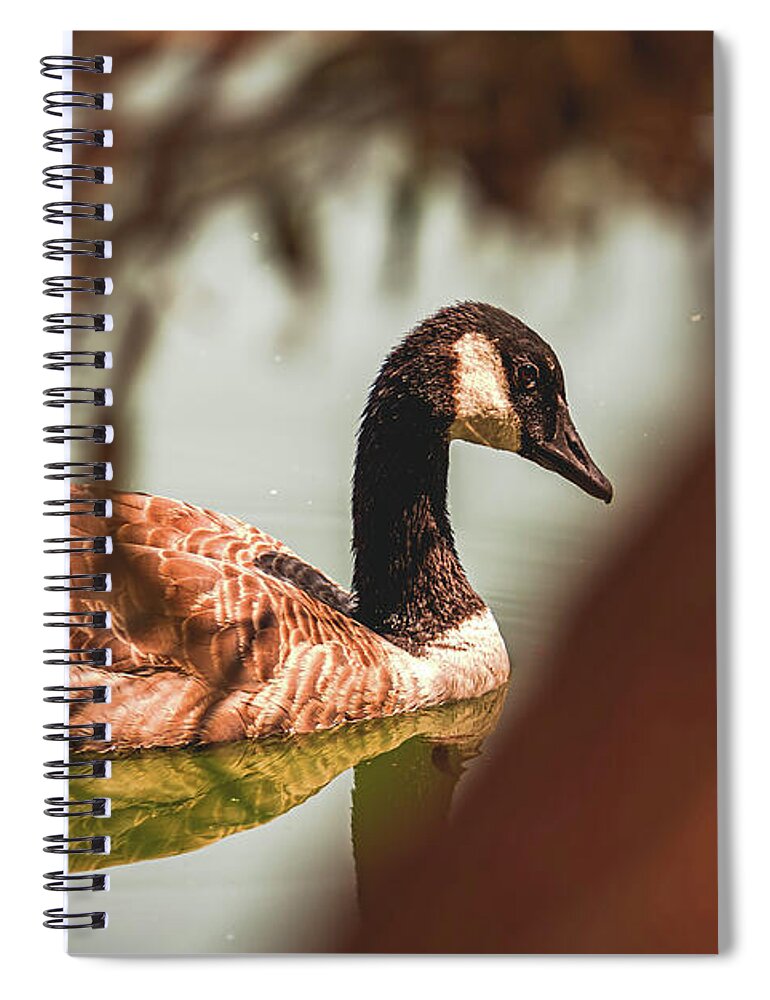 Contemplative Goose on Water - Spiral Notebook