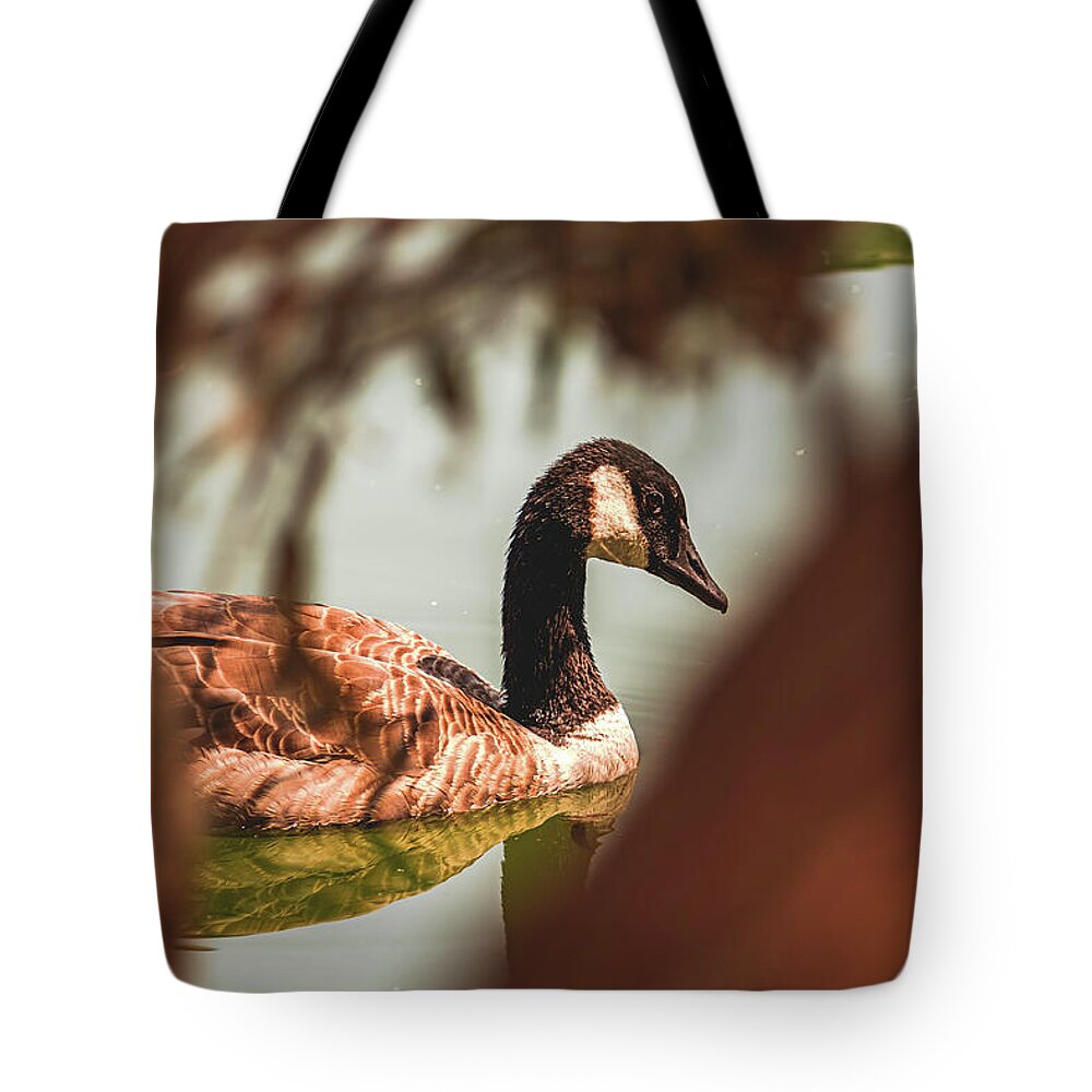 Contemplative Goose on Water - Tote Bag