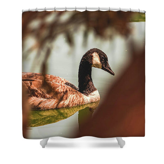 Contemplative Goose on Water - Shower Curtain