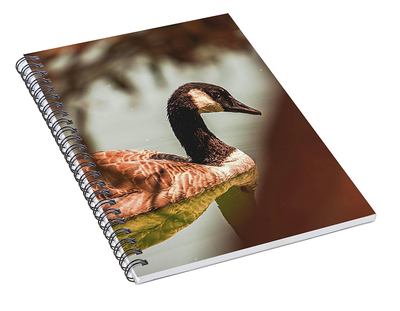 Contemplative Goose on Water - Spiral Notebook