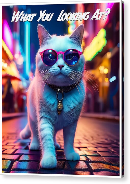Cool Cat in Sunglasses - Acrylic Print