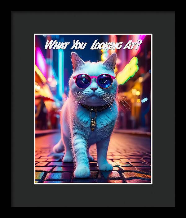 Cool Cat in Sunglasses - Framed Print