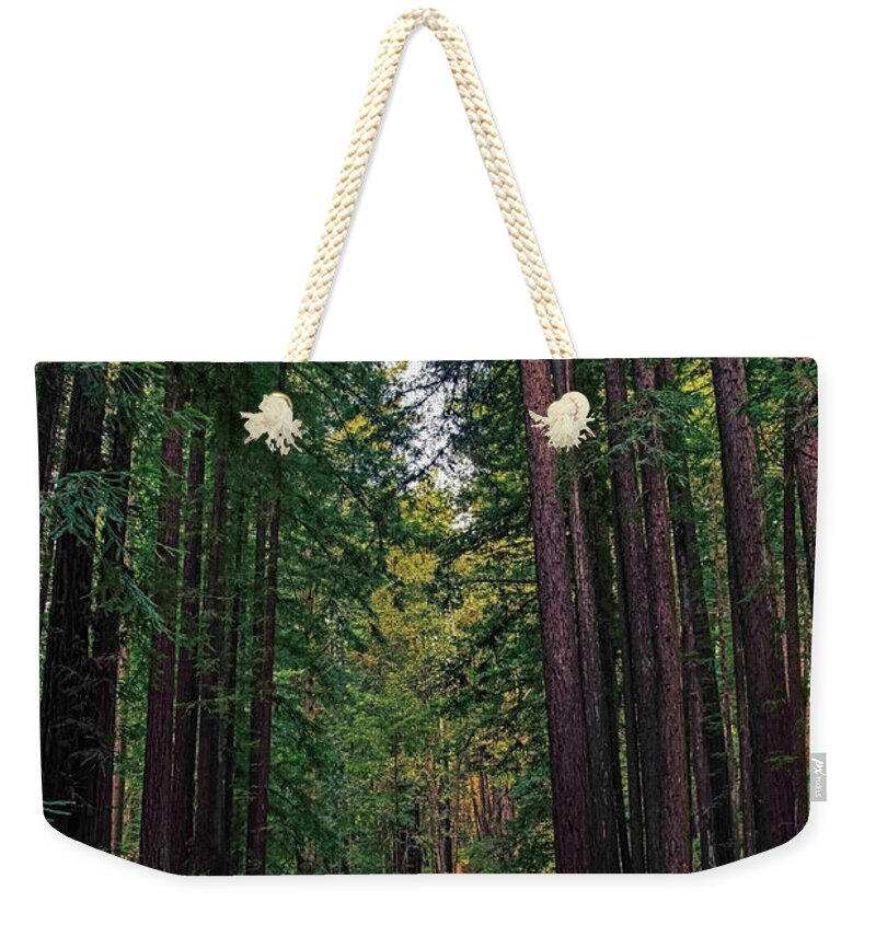 Cowell Redwoods State Park - Weekender Tote Bag