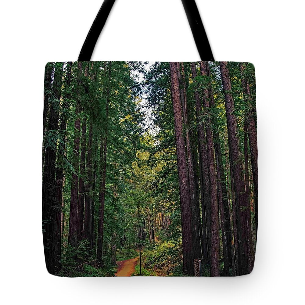 Cowell Redwoods State Park - Tote Bag