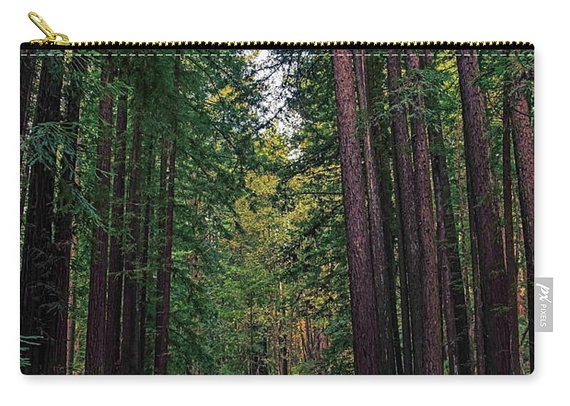 Cowell Redwoods State Park - Zip Pouch