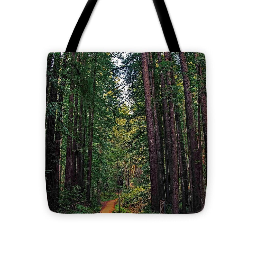 Cowell Redwoods State Park - Tote Bag