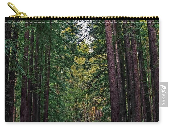 Cowell Redwoods State Park - Zip Pouch